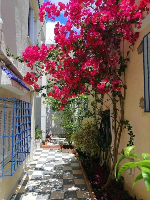 Maison A El Omrane . Τύνιδα Εξωτερικό φωτογραφία